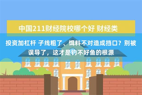 投资加杠杆 子线粗了、饵料不对造成挡口？别被误导了，这才是钓不好鱼的根源