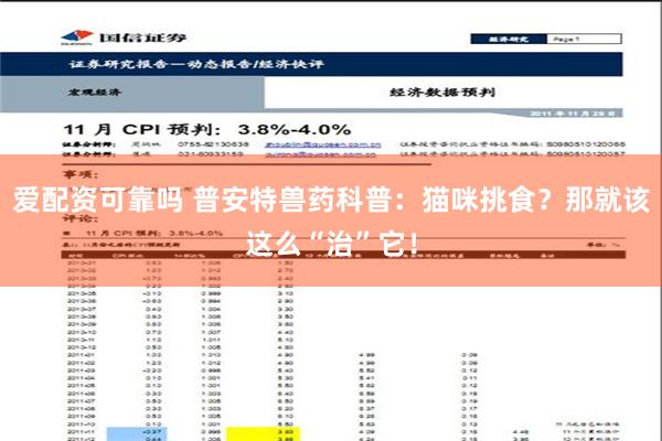 爱配资可靠吗 普安特兽药科普：猫咪挑食？那就该这么“治”它！