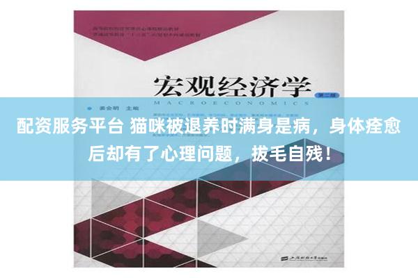 配资服务平台 猫咪被退养时满身是病，身体痊愈后却有了心理问题，拔毛自残！