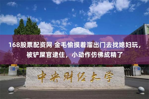 168股票配资网 金毛偷摸着溜出门去找媳妇玩，被铲屎官逮住，小动作仿佛成精了