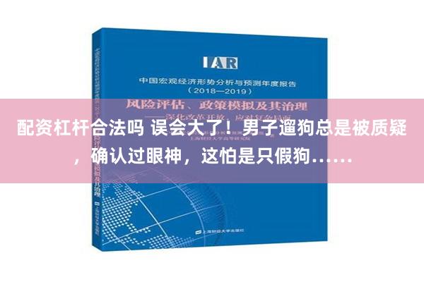 配资杠杆合法吗 误会大了！男子遛狗总是被质疑，确认过眼神，这怕是只假狗……