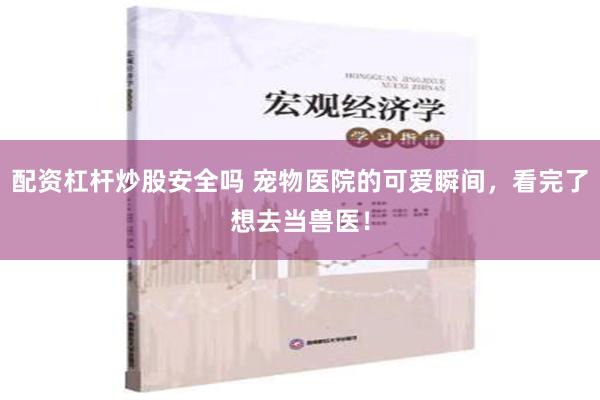 配资杠杆炒股安全吗 宠物医院的可爱瞬间，看完了想去当兽医！