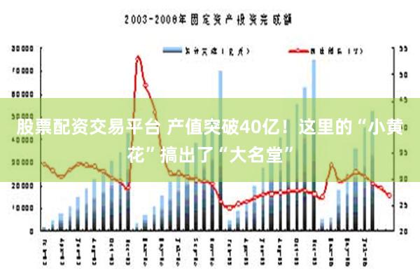 股票配资交易平台 产值突破40亿！这里的“小黄花”搞出了“大名堂”