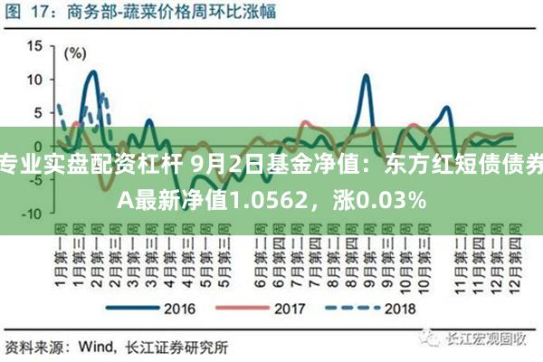 专业实盘配资杠杆 9月2日基金净值：东方红短债债券A最新净值1.0562，涨0.03%