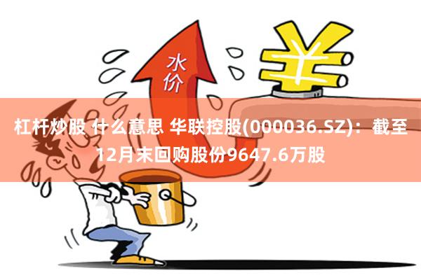 杠杆炒股 什么意思 华联控股(000036.SZ)：截至12月末回购股份9647.6万股